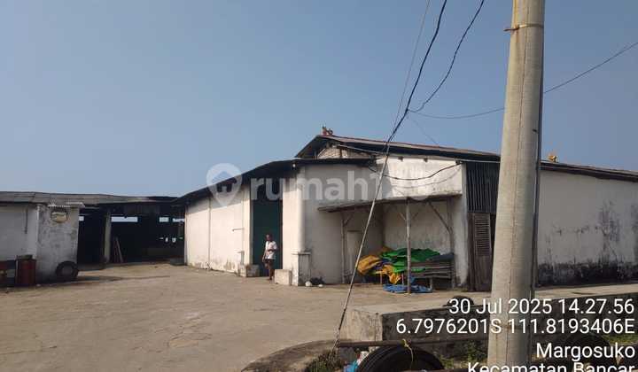 Dijual Via Lelang Gudang 1Lt di 0 Jalan Raya Bancar Tuban Dijual Via Lelang Gudang 1Lt di 0 Jalan Raya Bancar Tuban