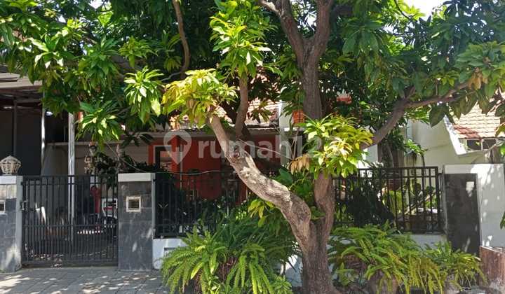 Dijual Via Lelang Rumah 1Lt di Medokan Ayu Rungkut Surabaya 2