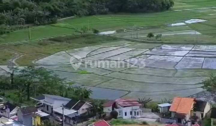 Rumah Istimewa Murah Dalam Kawasan Perumahan Di Sleman  2