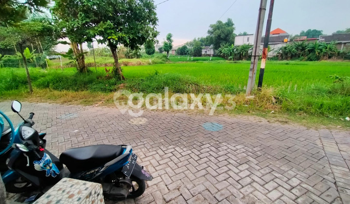 Hook House In Graha Mutiara Indah Driyorejo Gresik 2