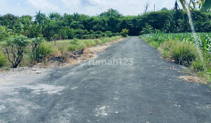 Di Jual Tanah Padanggalak Sanur Dekat Pantai Di Jual Tanah Padanggalak Sanur Dekat Pantai