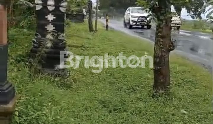 FREEHOLD LAND WITH SPECTACULAR VIEW IN TABANAN BALI