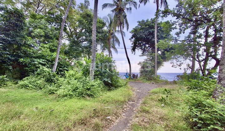 Tanah Los Pantai 32 Are di Bali Utara - Lokasi Strategis untuk Investasi Resort atau Hotel Mewah Tanah Los Pantai 32 Are di Bali Utara - Lokasi Strategis untuk Investasi Resort atau Hotel Mewah