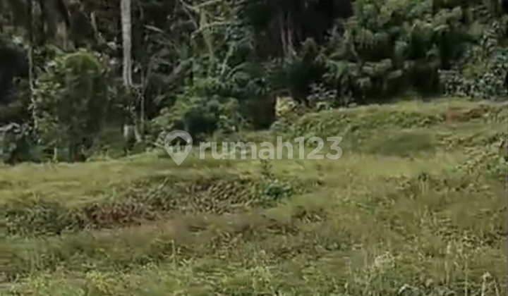 For Sale Cheap, Build-Ready Land 1,700 m² on Jl. Jelijih, Tabanan - Strategic Location Near the Main Road
