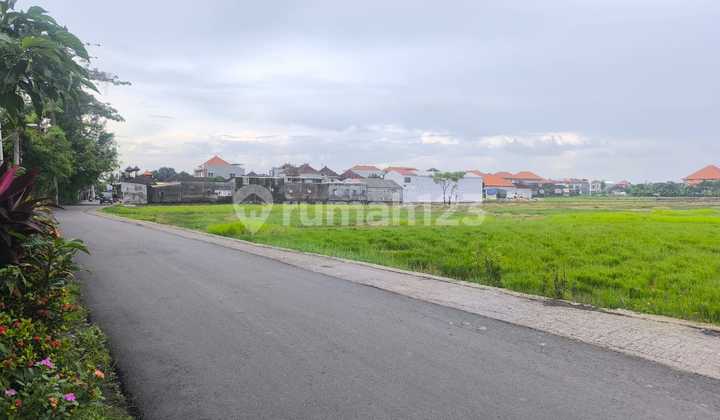 Dijual Tanah SHM Strategis Pinggir Jalan - Jl. Dukuh Sari Sesetan, Akses Besar & Potensi Komersial Tinggi Dijual Tanah SHM Strategis Pinggir Jalan - Jl. Dukuh Sari Sesetan, Akses Besar & Potensi Komersial Tinggi