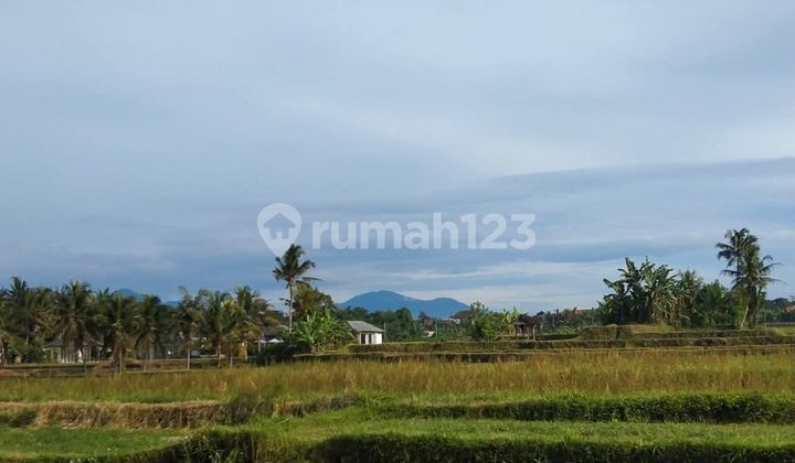 Tanah Strategis 5 Are di Peliatan - Dekat Central Ubud Tanah Strategis 5 Are di Peliatan - Dekat Central Ubud