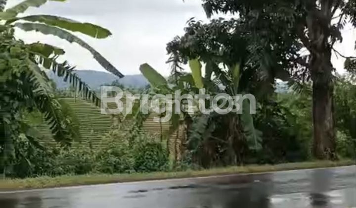 FREEHOLD LAND WITH SPECTACULAR VIEW IN TABANAN BALI