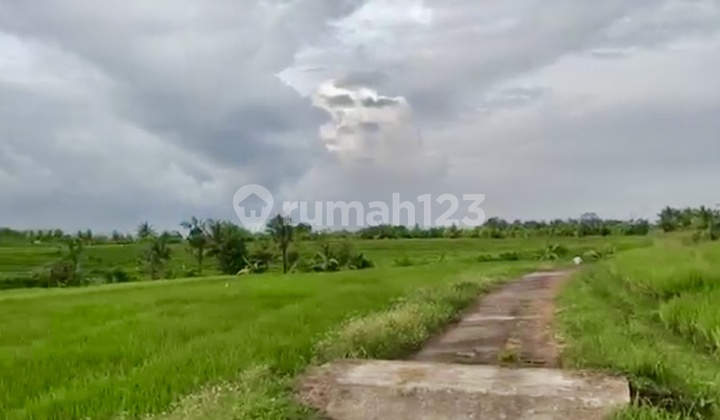 Strategic Land in Tangguntiti Selemadeg, Tabanan - Near Natural Boutique Villas & Resort Location