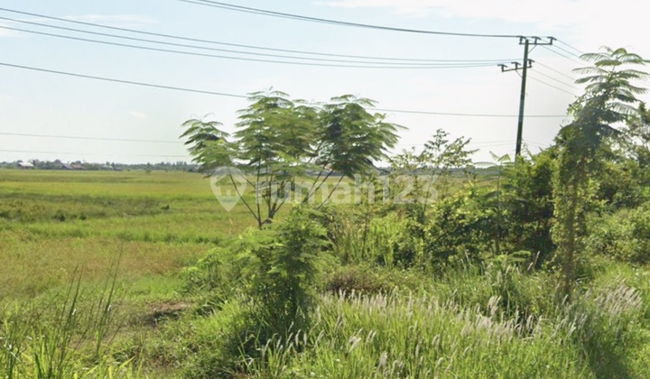 Tanah Strategis di Tol KM 15 Gubernur Subarjo- Dekat Biz Park Banjarmasin
