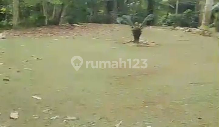 Tanah Eksklusif Pupuan , Tegallalang , Gianyar - Lokasi Strategis di Kawasan Alam Tegallalang yang Sejuk & Berkembang Tanah Eksklusif Pupuan , Tegallalang , Gianyar - Lokasi Strategis di Kawasan Alam Tegallalang yang Sejuk & Berkembang