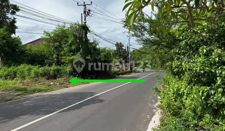 Tanah Premium 7,82 Are di Taman Mumbul Jimbaran - Siap Bangun Tanah Premium 7,82 Are di Taman Mumbul Jimbaran - Siap Bangun