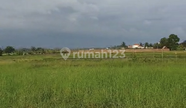 Land Plot for Sale, 3 Are, Ready to Build, Near Klating Beach - Tabanan Land Plot for Sale, 3 Are, Ready to Build, Near Klating Beach - Tabanan