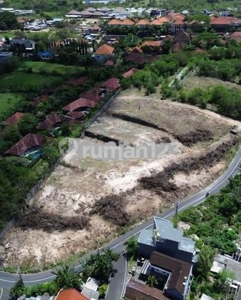 Tanah 26,6 Are SHM Zona Pink di Ungasan - Dekat Gwk & Pantai Melasti