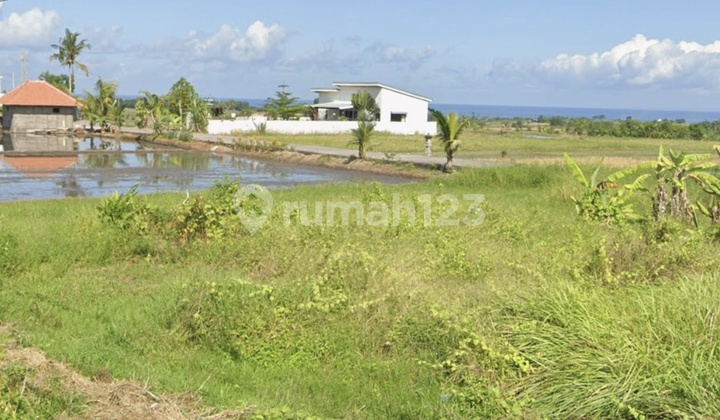 Dijual Tanah Strategis Dekat Pantai Kelanting Tabanan - View Laut , SHM