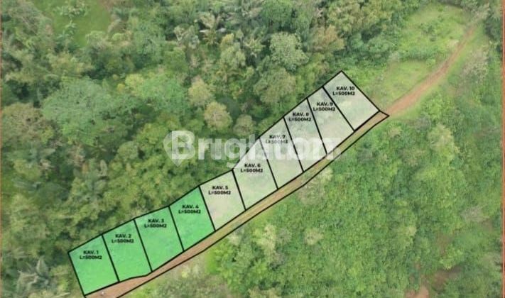 HUNIAN KAYU DI TENGAH ALAM BALI , UDARA SEJUK , VIEW PEGUNUNGAN DI TABANAN BALI