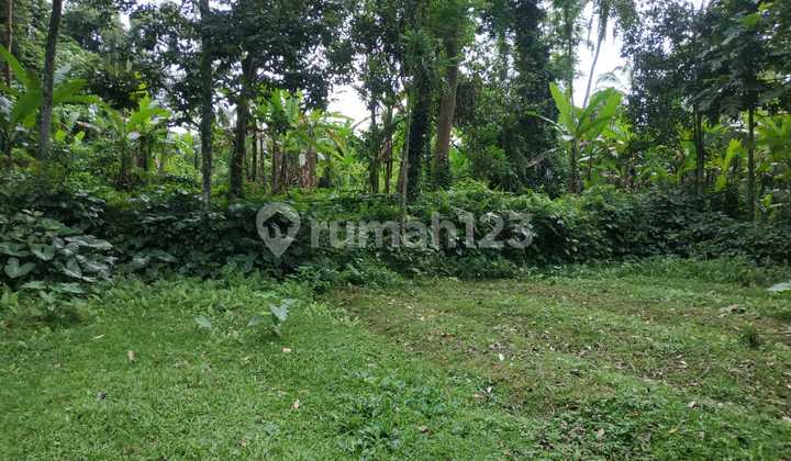 Tanah 38 Are View Sungai & Hutan Tropis Di Payangan Ubud - Siap Bangun