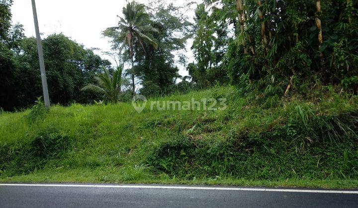 Dijual Tanah Strategis Di Jalan Utama Raya Payangan Dekat Padma Resort Ubud 1