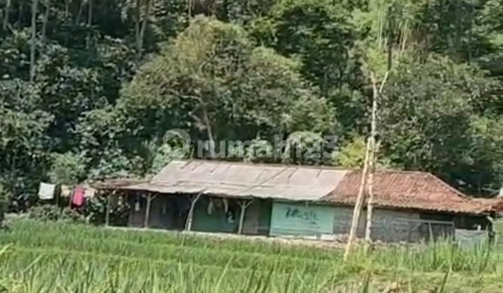 Di Jual Tanah Sawah Pinggir Jalan  2