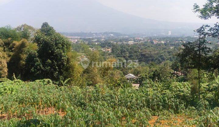 Di Jual Tanah Gunung Gelis Bogor  2