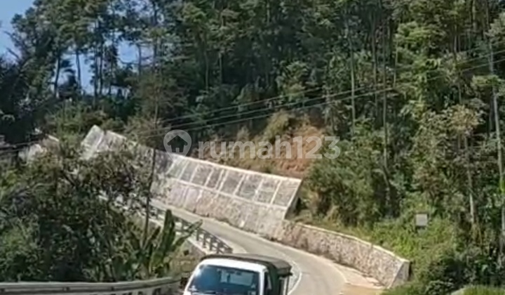 Di Jual Tanah Sawah Pinggir Jalan  1