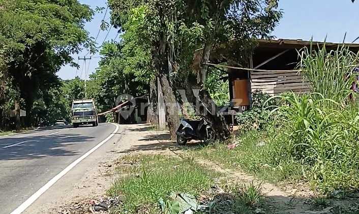 Di Jual Tanah Pinggir Jalan Cariu Jonggol