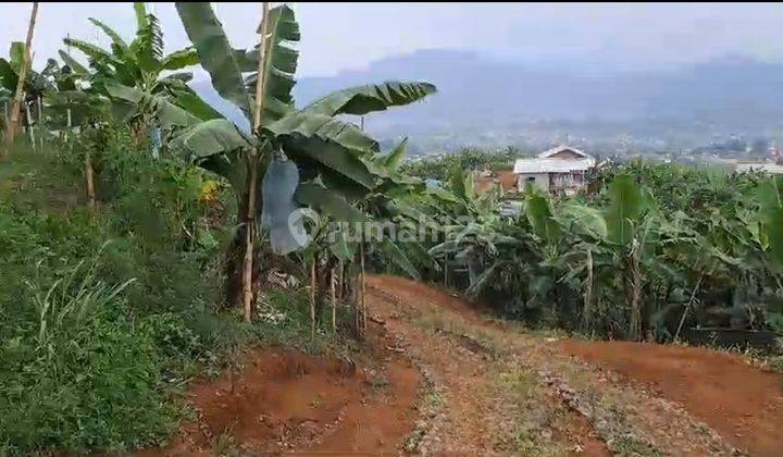 Di Jual Tanah Cianjur Cipanas  1