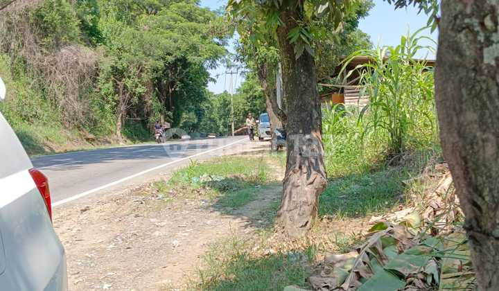 Di Jual Tanah Pinggir Jalan Cariu Jonggol