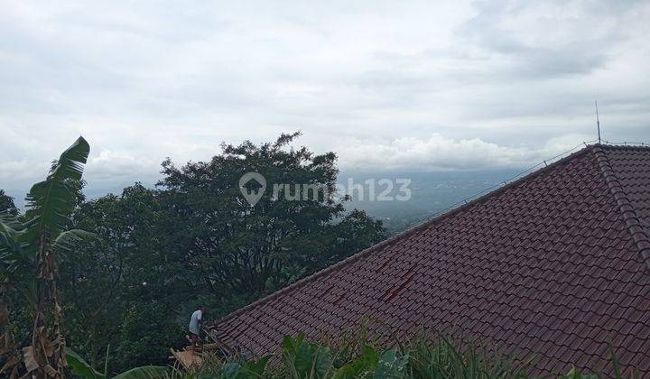 Di Jual Tanah Cijeruk Best View  2