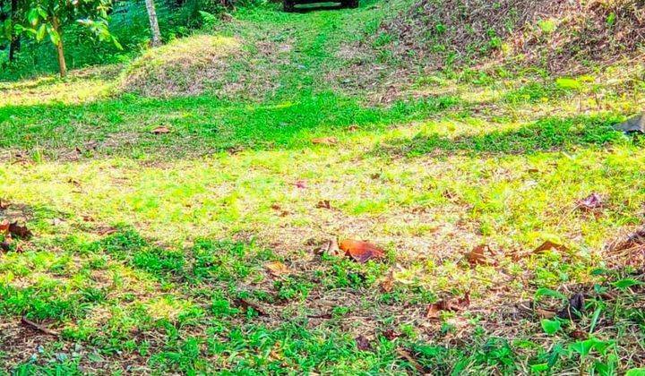 Di Jual Tanah Gunung Gelis Bogor  1