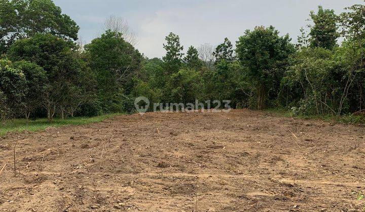 Tanah dekat kampus UIN STS Sungai Duren 2