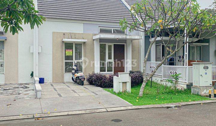 Disewa Rumah 1 Lantai Cluster Dhana Suvarna Sutera Tangerang 1