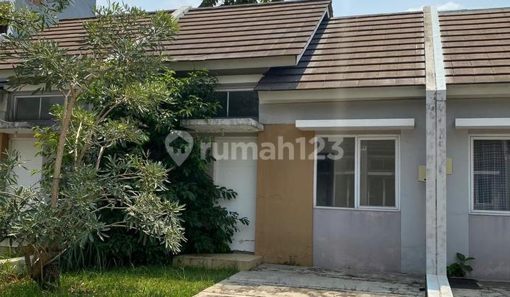 Jual Murah 2 Unit Rumah Cluster Flamingo Serpong Lagoon