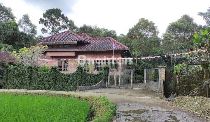 JUAL CEPAT (BU). VILLA BESERTA KEBUN BUAH, SAWAH, PETERNAKAN, BISA UNTUK ISTIRAHAT DAN INVESTASI 1