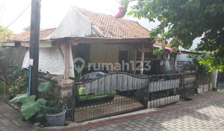 Dijual Rumah Luas Tanah 1 Are Lebih Di Taman Graha Permai Jimbaran Dijual Rumah Luas Tanah 1 Are Lebih Di Taman Graha Permai Jimbaran
