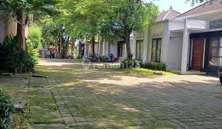 Rumah minimalis modern dengan lingkungan asri di ungasan 1