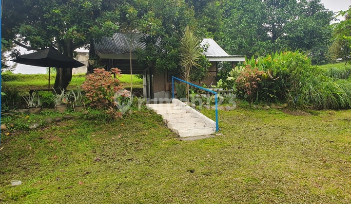Dijual Kebun Buah + Kolam Asri 1 Hektar di Tanjung Selamat, Harga 450Rb/M² - Nego