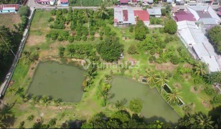 Tanah Dan Kolam 1ha SHM di Jl Perjuangan, Tj. Anom, Kec. Pancur Batu, Kabupaten Deli Serdang, Sumatera Utara 20351 1