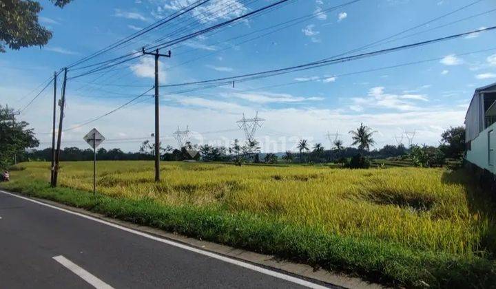 Jual tanah Luas 1663 m² dekat dengan banyak wisata seperti danau biru kebun raya dll lokasi kuningan Jawa Barat  1