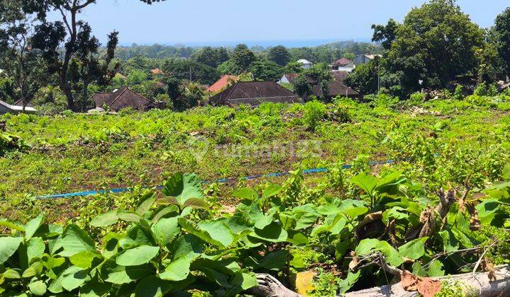 Di Jual Tanah Di Balangan 2