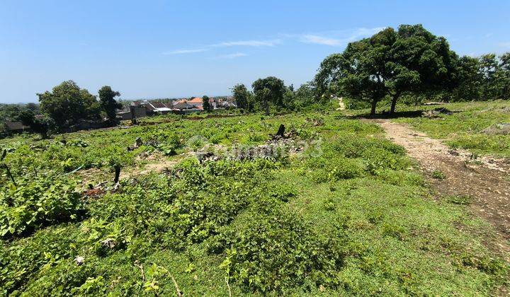 Di Jual Tanah Di Balangan 1