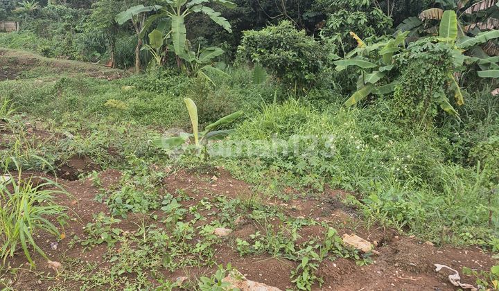 Lahan Datar Siap Garap