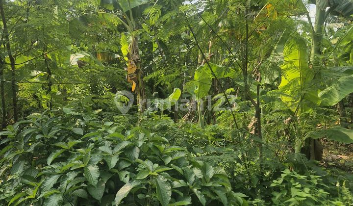 Ready-to-Build Land Strategic Location in Depok Ready-to-Build Land Strategic Location in Depok