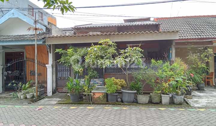 Rumah SHM di Sawahan 2
