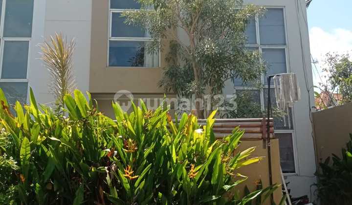 House / Villa Jln Intan Permai No.18 Seminyak Kuta Bali House / Villa Jln Intan Permai No.18 Seminyak Kuta Bali