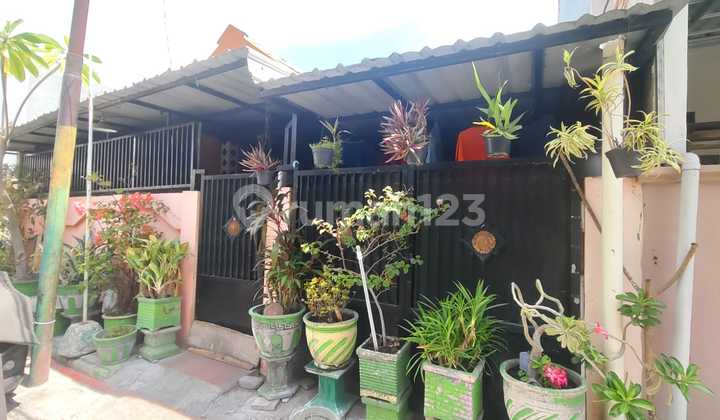 Dijual Rumah Lelang Super Murah Di Sambikerep Surabaya! 2