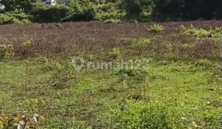 Dijual Lahan Strategis Di Jimbaran, Kuta Selatan - Badung Bali Dijual Lahan Strategis Di Jimbaran, Kuta Selatan - Badung Bali