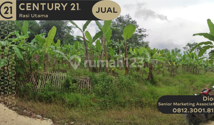 Dijual Tanah di Desa Sirnasari Tanjungsari Bogor Dijual Tanah di Desa Sirnasari Tanjungsari Bogor