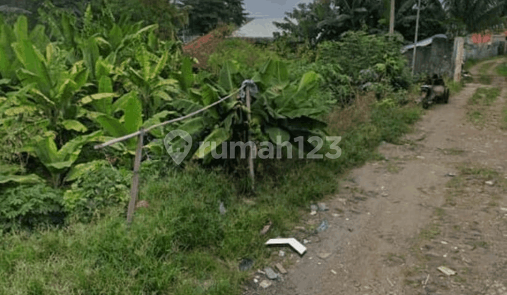 Dijual Tanah Jalan Radar Auri Cibubur Jakarta Timur di Bawah NJOP Dijual Tanah Jalan Radar Auri Cibubur Jakarta Timur di Bawah NJOP