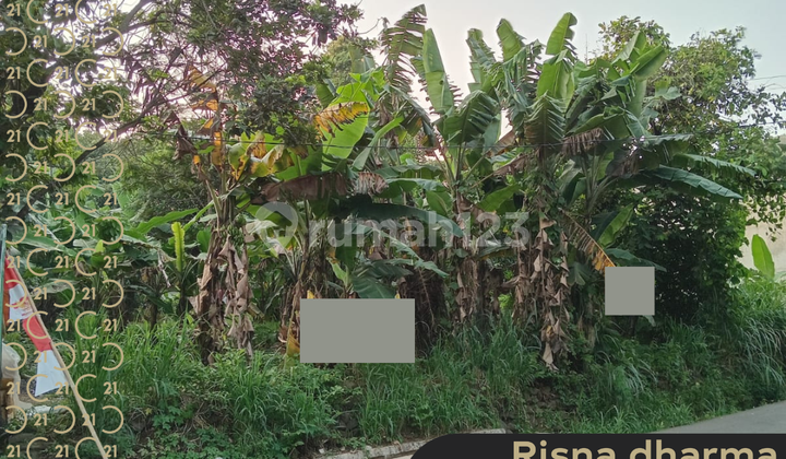 Dijual Tanah di Kampung Kranggan Lembur Jatisampurna Bekasi Dijual Tanah di Kampung Kranggan Lembur Jatisampurna Bekasi