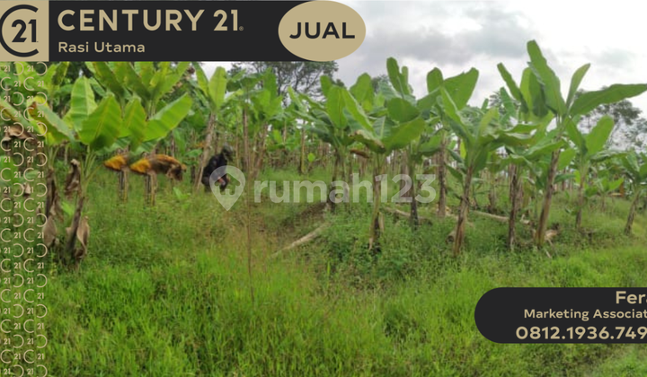 Dijual Tanah di Jalan Transyogi Desa Sirnasari Tanjungsari Bogor Dijual Tanah di Jalan Transyogi Desa Sirnasari Tanjungsari Bogor